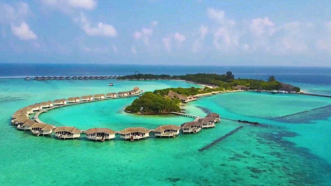 救援蓝色小兔