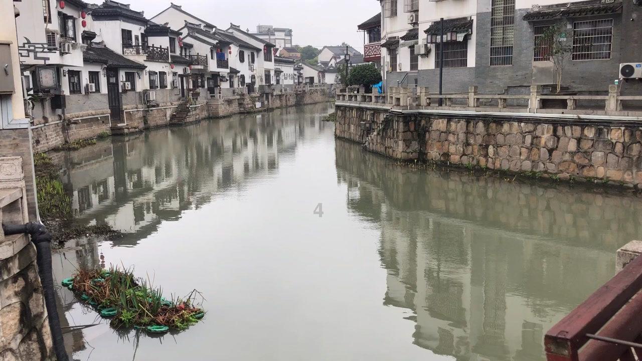 拯救精灵的土地6